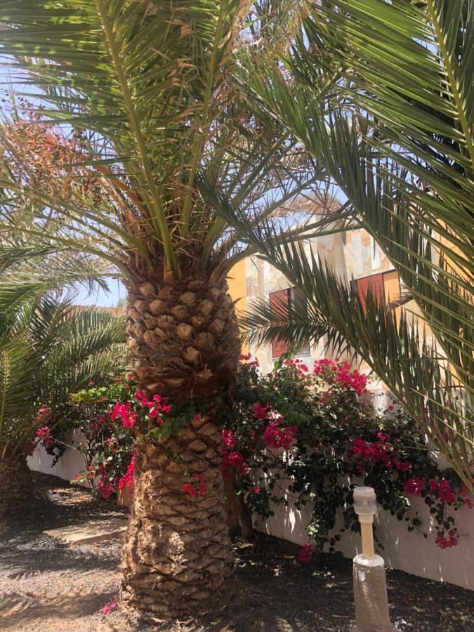 Apartamento LE SOLEIL Complex Amaya Fuerteventura Costa De Antigua Exterior foto